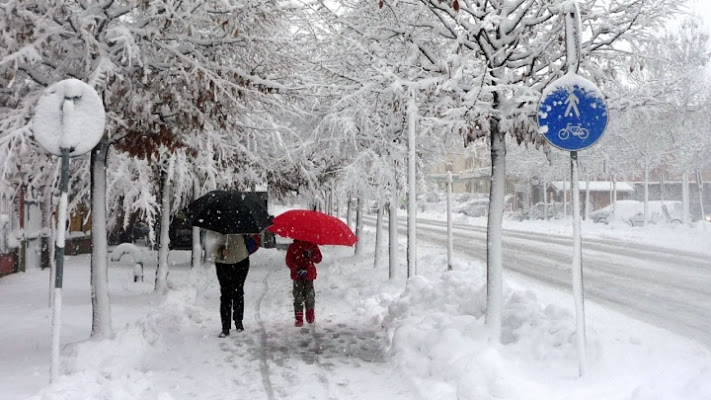 Il viale di paolo.balbarini