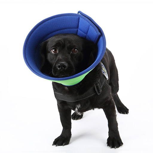 Title 4, Dog Cat Anti-bite Collar Pet Medical Recovery T...