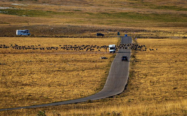 Attraversamento a Campo Imperatore di fernando rugge