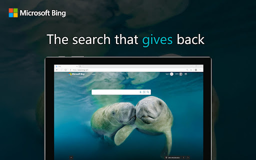 Microsoft Bing Search Engine