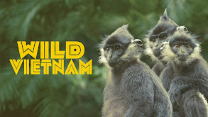 Wild Vietnam thumbnail