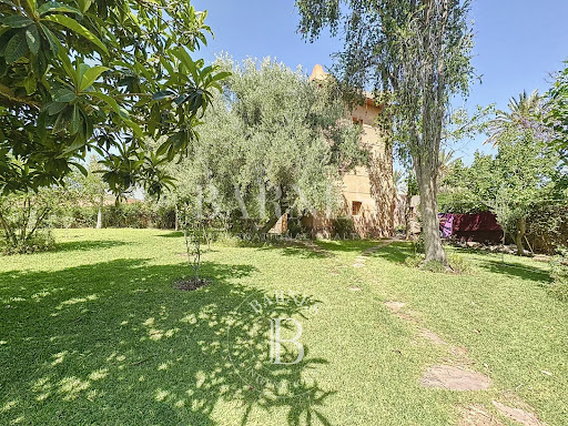 Villa avec piscine et jardin 4