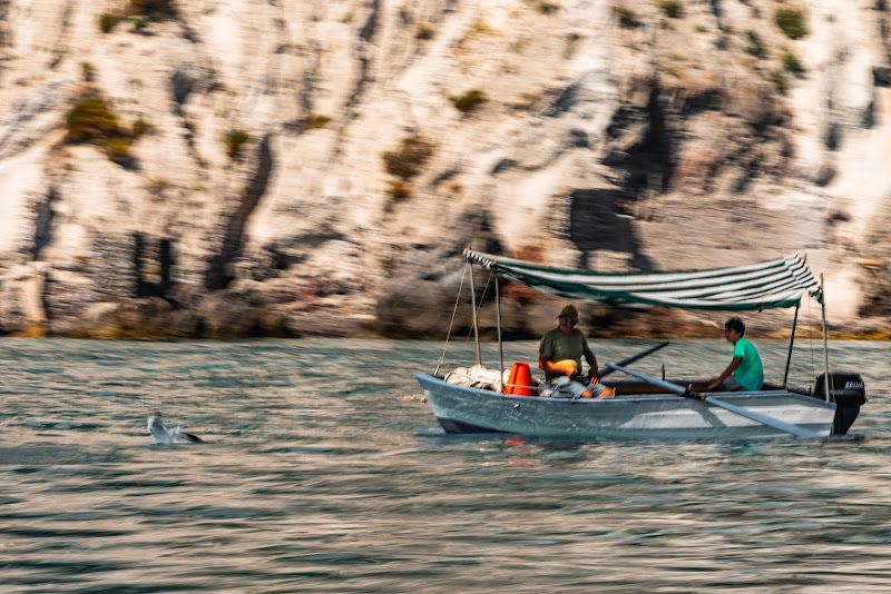 Salto di pesce di Peppe Belluardo ph