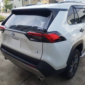 RAV4 AXAH54