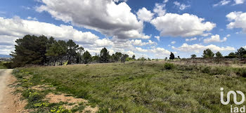 terrain à Pouzols-Minervois (11)