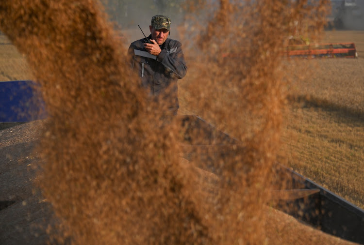 An employee controls the loading of wheat into a truck during harvest in a field of a local agricultural enterprise in the Cherlaksky district of the Omsk region, Russia, September 8, 2023. REUTERS/Alexey Malgavko