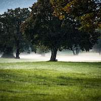 L'alba autunnale al parco dei Cavalli Lipizzani di 