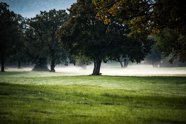 L'alba autunnale al parco dei Cavalli Lipizzani di gianmichele_arrighetti