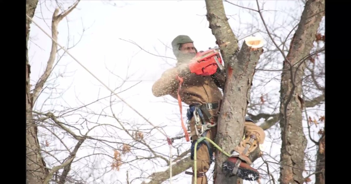 C & G Tree Service.mp4