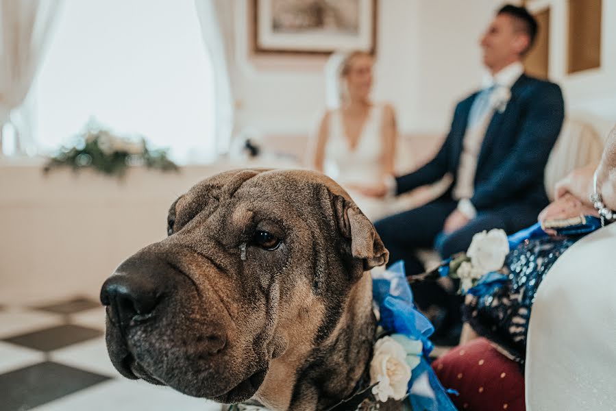 Svatební fotograf Sergio López (theweddpeckers). Fotografie z 25.února 2020