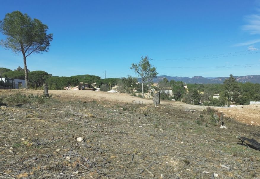 Vente terrain  805 m² à Puget-sur-Argens (83480), 325 000 €