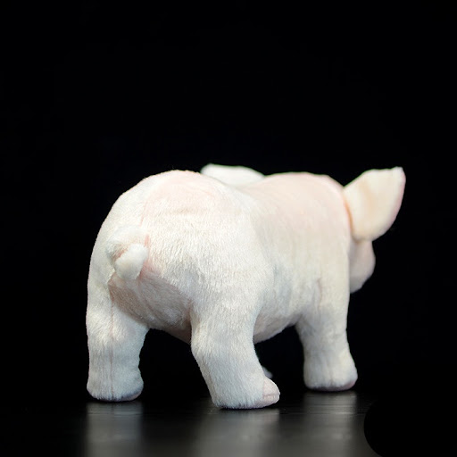 Title 1, White cute domestic pig plush toy for cuddling ...