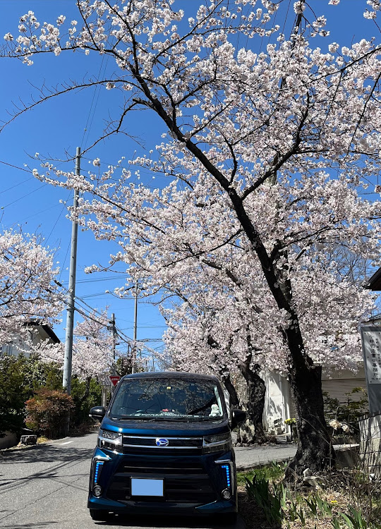 の投稿画像6枚目