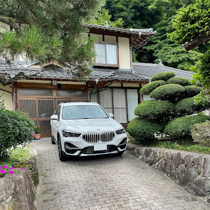 X1 xDrive 18d