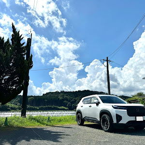 WR-V DG5