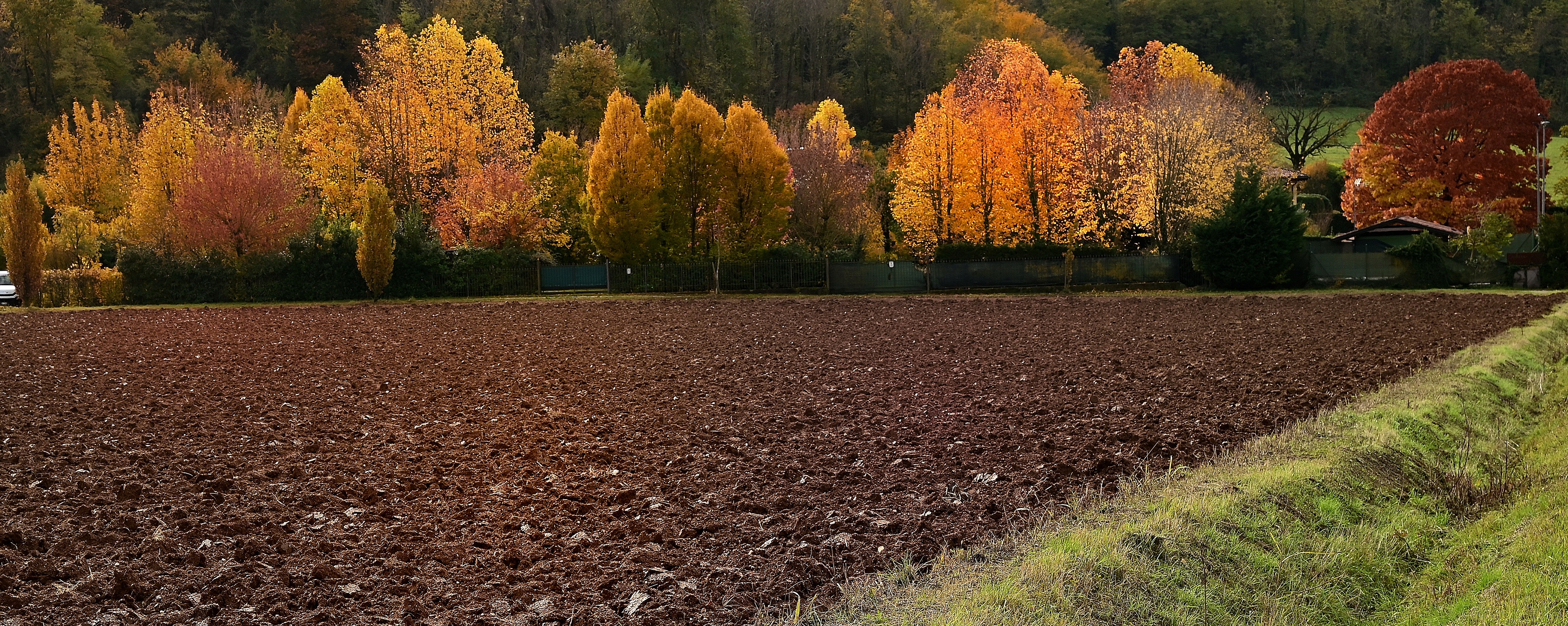 congedo meraviglioso dell'autunno di Cary