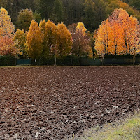 congedo meraviglioso dell'autunno di 