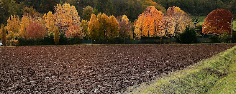 congedo meraviglioso dell'autunno di Cary