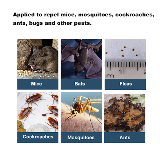 Title 5, Ultrasonic Intelligent Electronic Mosquito Repe...