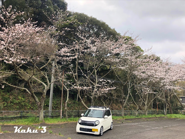 N-ONEのシンプルスマート・MINI純正ホイール・6.5J・春の風物詩と愛車・お題提出に関するカスタム事例の投稿画像2枚目