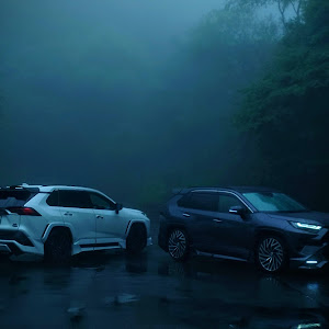 RAV4 AXAH54