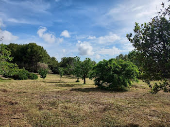 terrain à Sanary-sur-Mer (83)