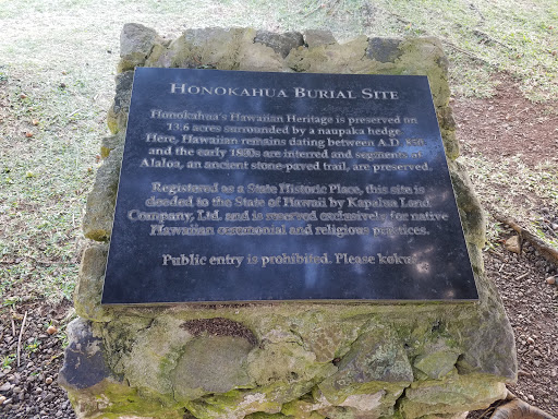 Honokahua Burial Site