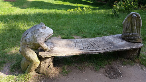 Frog Bench