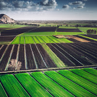 Pianura Toscana  di 