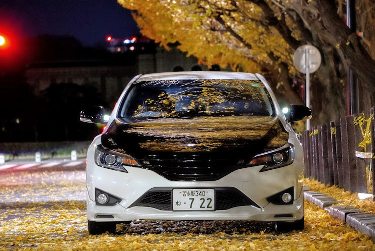 マークXの外苑いちょう並木・黄色いじゅうたん・寒気・カーライフ・リフレクションに関するカスタム事例の投稿画像1枚目