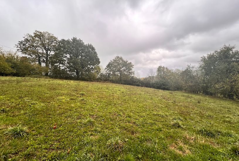  Vente Terrain à bâtir - 3 400m² à Sansac-de-Marmiesse (15130) 