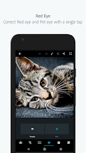 Adobe Photoshop Express:Photo Editor Collage Maker 4.4.490 (Premium) (x86)