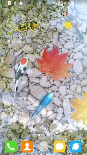 Water Garden Live Wallpaper MOD APK 1.66 [Full Unlocked] 4