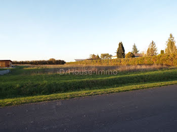 terrain à Cognac (16)