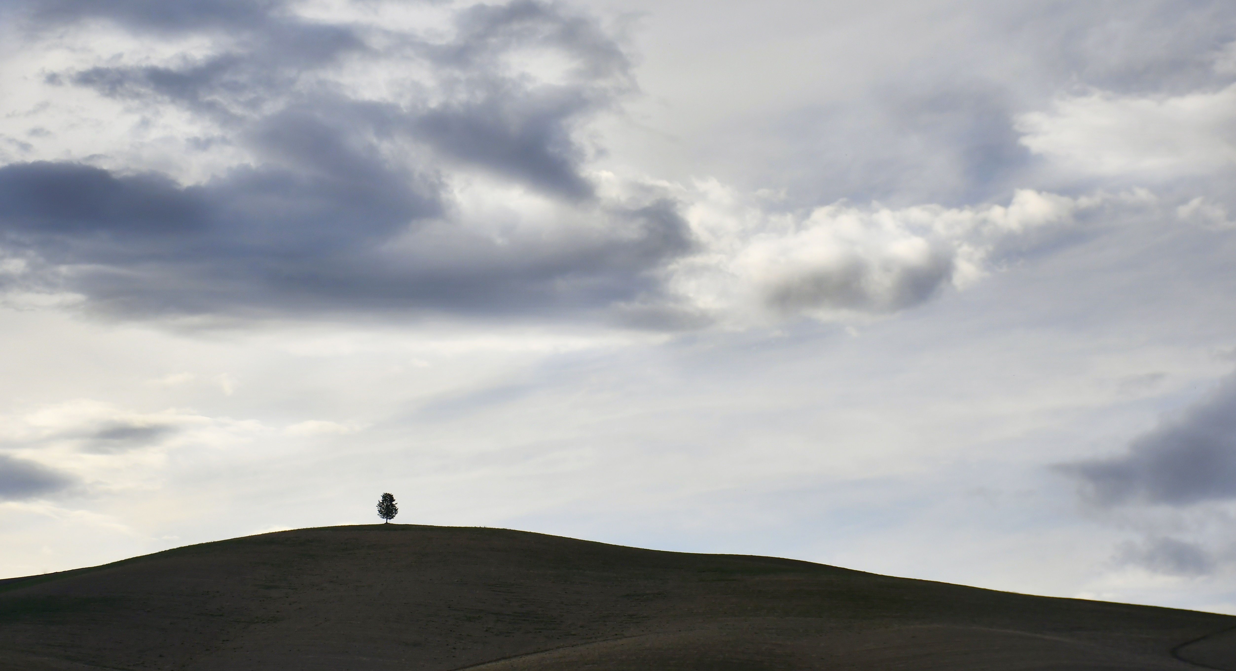 La collina spazzata di gigidueelle