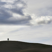 La collina spazzata di gigidueelle