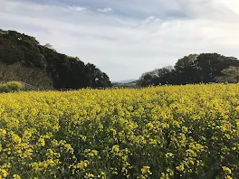 明日は修学旅行です。