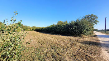 terrain à Saint-Satur (18)