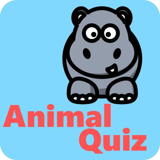 Квиз животные. Animal Quiz.