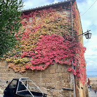 arcobaleno di foglie di 