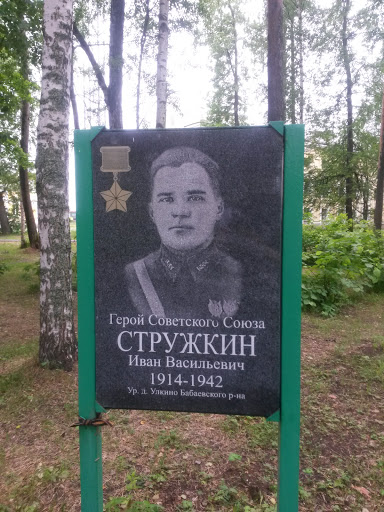 Стружкин 