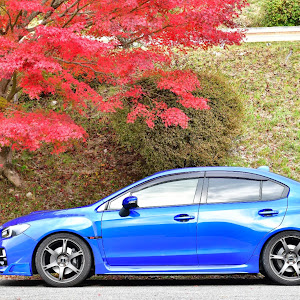 WRX STI