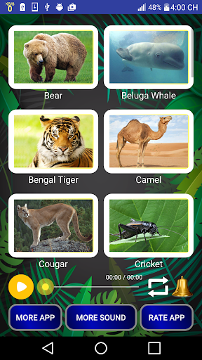 Download Animal Sounds Google Play apps - aYtOZg8uxhfq | mobile9