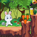 Bunny Carrot Adventure