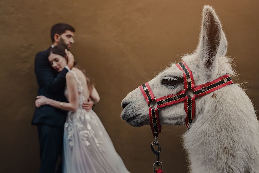 Fotografo di matrimoni Miguel Villasmil (miguelphoto). Foto del 23 settembre 2022