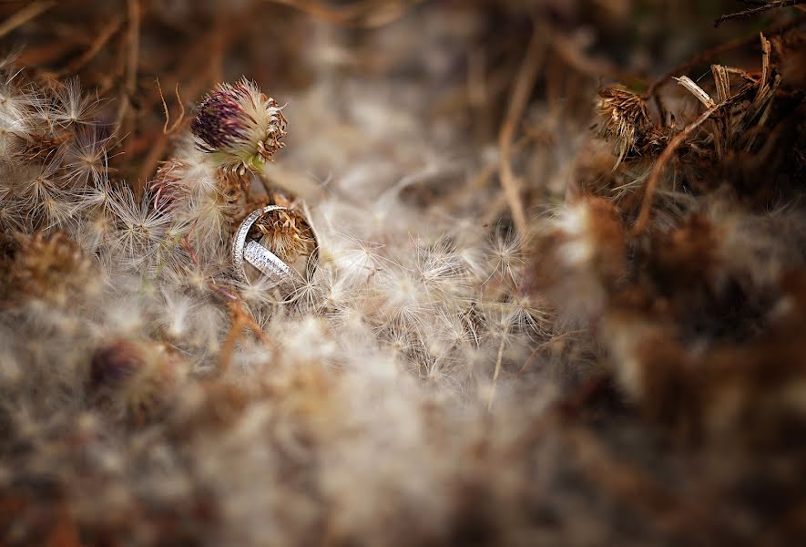 Hochzeitsfotograf Ellen Bem (senjab). Foto vom 23. August 2020