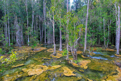 Water flowing down from natural streams coming from the hill of Khao Pra Bang Khram Wildlife Sanctuary