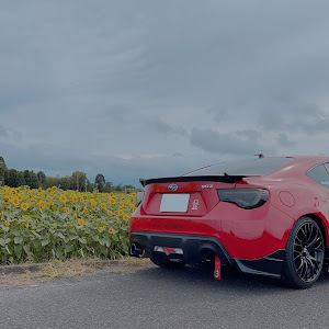 BRZ ZC6