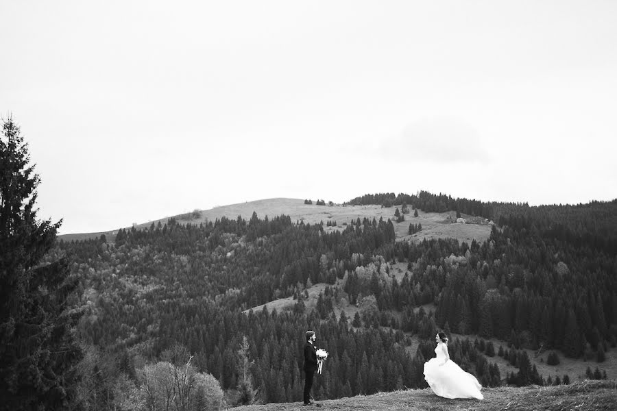 Wedding photographer Evgeniy Zavgorodniy (zavgorodniycom). Photo of 9 May 2017