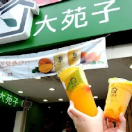 大苑子茶飲專賣店(鹿港復興店)